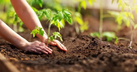 ��� ����������� ����� � ������� � ���������� ������ ������