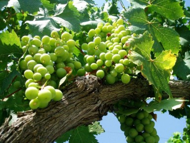 ��� �������� �������� ������ ��������� � ������� �������� ���������