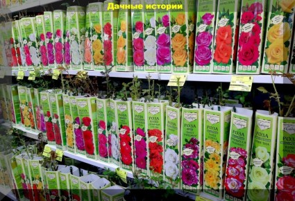 ��� ��������� ������� � ��������� ������� ��� �� �����