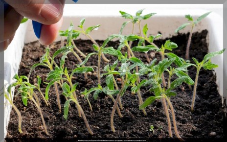 ��� ��������� ��������� �������: �������� ������ ��� ���������