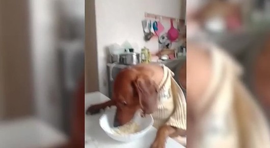 ��������. �������� - ������ � ���� - ��������� - ���������� �����