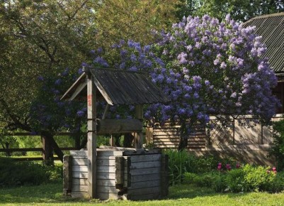 ������� ��� �������� ���� � ���������������� �� ����