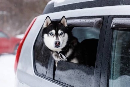 Во Владимире проходят профилактические рейды в ожидании половодья