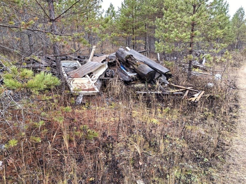 Владимирский природоохранный прокурор в судебном порядке добивается ликвидации свалки отходов площадью более 9 тысяч квадратных метров с лесного участка Владимирский природоохранный прокурор в судебном порядке добивается ликвидации свалки отходов площадью более 9 тысяч квадратных метров с лесного участка