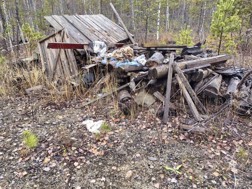 Владимирский природоохранный прокурор в судебном порядке добивается ликвидации свалки отходов площадью более 9 тысяч квадратных метров с лесного участка Владимирский природоохранный прокурор в судебном порядке добивается ликвидации свалки отходов площадью более 9 тысяч квадратных метров с лесного участка