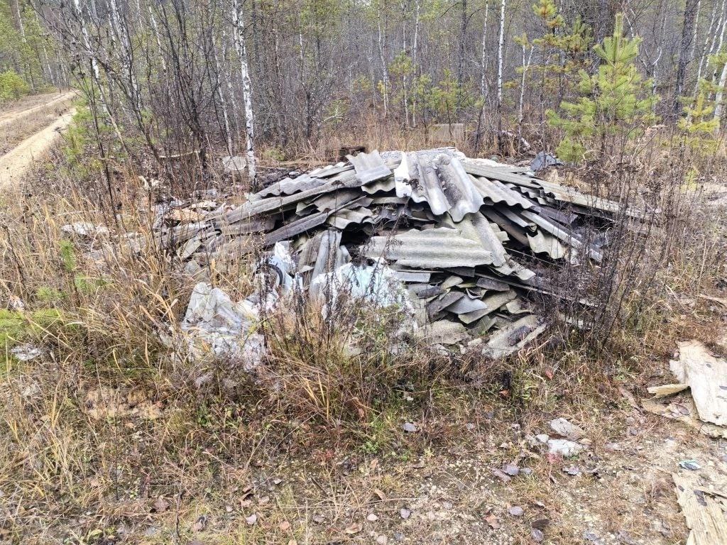 Владимирский природоохранный прокурор в судебном порядке добивается ликвидации свалки отходов площадью более 9 тысяч квадратных метров с лесного участка