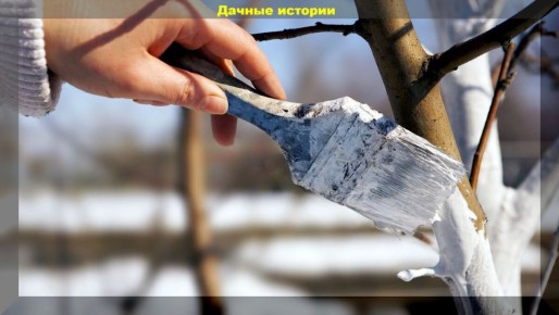 ���� � ����� �������������: ��� ���� �������� � ������ �����