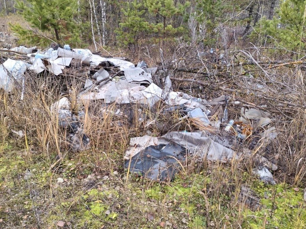 Владимирский природоохранный прокурор в судебном порядке добивается ликвидации свалки отходов площадью более 9 тысяч квадратных метров с лесного участка Владимирский природоохранный прокурор в судебном порядке добивается ликвидации свалки отходов площадью более 9 тысяч квадратных метров с лесного участка