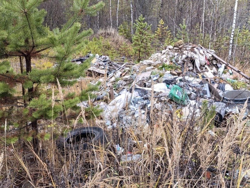 Владимирский природоохранный прокурор в судебном порядке добивается ликвидации свалки отходов площадью более 9 тысяч квадратных метров с лесного участка Владимирский природоохранный прокурор в судебном порядке добивается ликвидации свалки отходов площадью более 9 тысяч квадратных метров с лесного участка