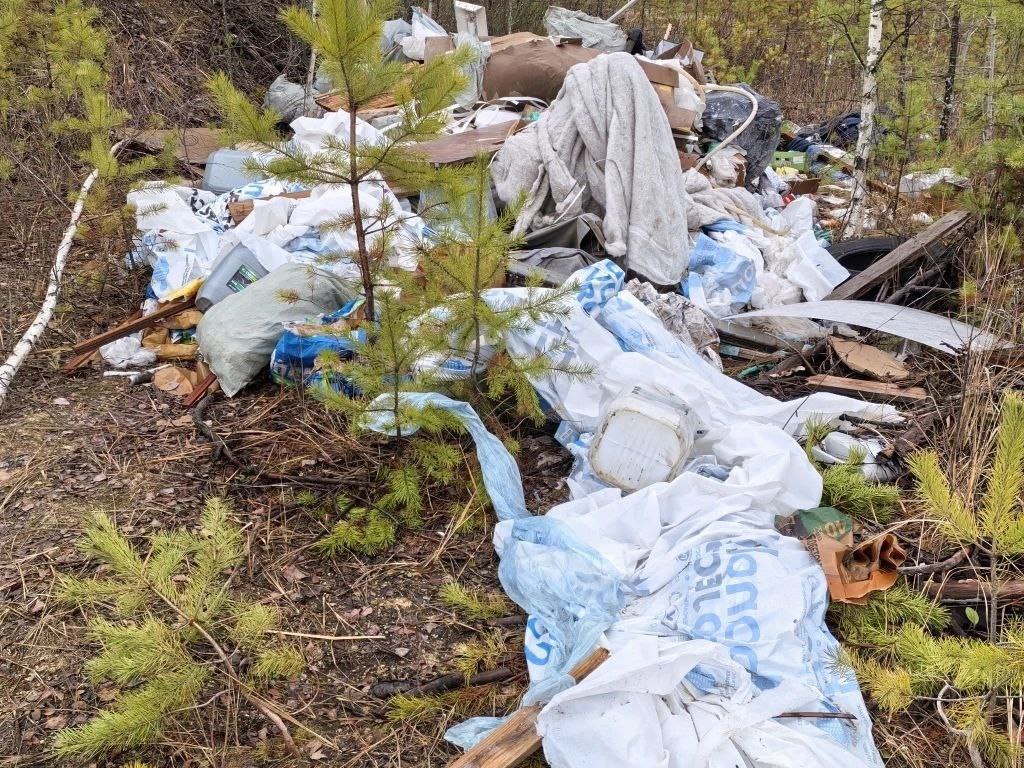 Владимирский природоохранный прокурор в судебном порядке добивается ликвидации свалки отходов площадью более 9 тысяч квадратных метров с лесного участка Владимирский природоохранный прокурор в судебном порядке добивается ликвидации свалки отходов площадью более 9 тысяч квадратных метров с лесного участка