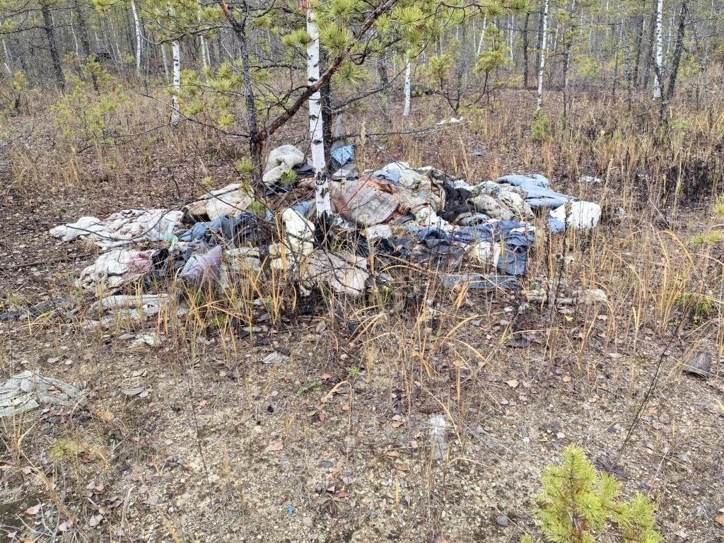 Владимирский природоохранный прокурор в судебном порядке добивается ликвидации свалки отходов площадью более 9 тысяч квадратных метров с лесного участка Владимирский природоохранный прокурор в судебном порядке добивается ликвидации свалки отходов площадью более 9 тысяч квадратных метров с лесного участка