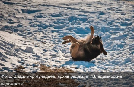 ����� ���� ��������� � �������: �� ���������� ������������, � ������ ����� � ������� �������� ���������� �������������� ������ ������� ������ ��������� � �������� ������