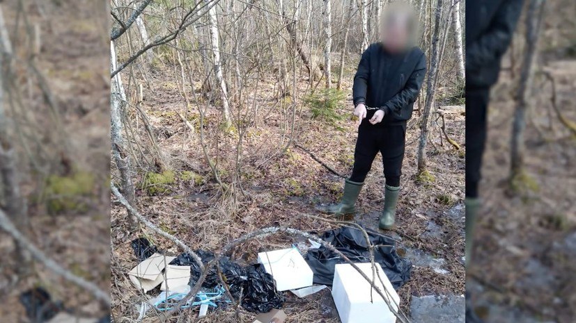 История предательства: жителя Владимирской области завербовали украинские спецслужбы