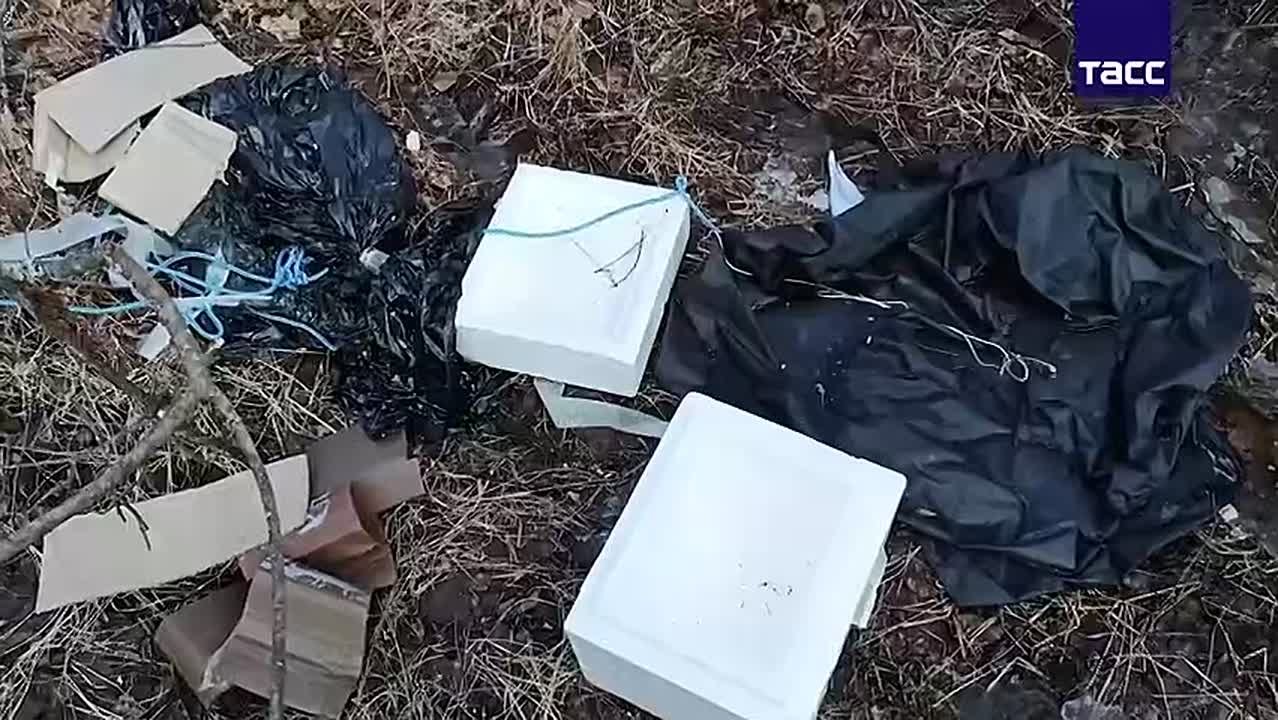 Жителя Владимирской области задержали за подготовку атак по военным самолетам