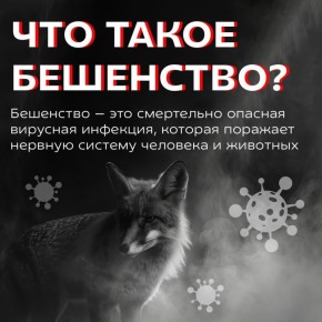 �� ������������ ������� ��������������� ����� ���� ���������