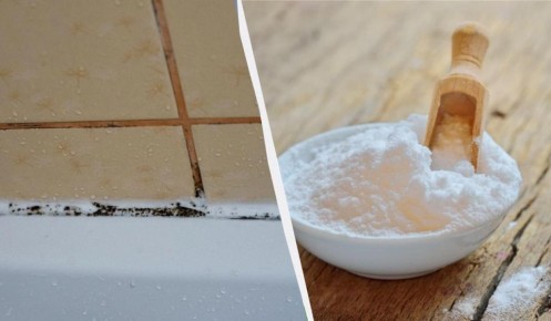 ��� ������ � ���������� ���������� �� ������ �� ������