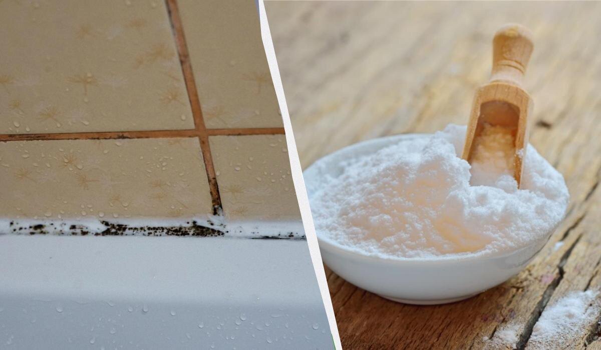 Как быстро и эффективно избавиться от грибка на плитке