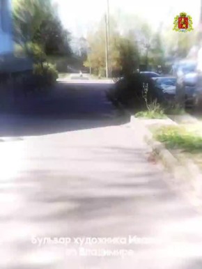 Хотите, чтобы ваш двор, парк или сквер стали еще красивее и комфортнее? У вас есть шанс повлиять на то, какие объекты будут благоустроены во Владимирской области в 2027 году!