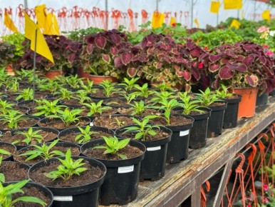 От маленького стеллажа к цветущему агрокомплексу