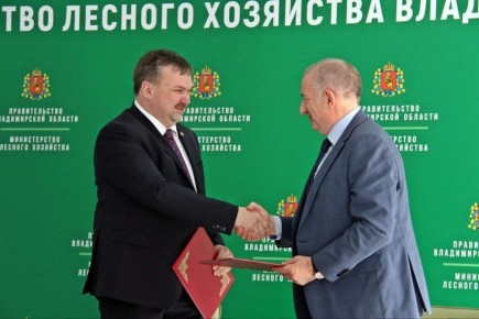 ������������� ������ ����������� �������������� ����� �� ������������ �������