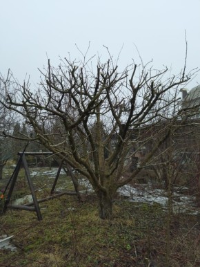 ������ �� ��������� ���������� ������� ��� ������������ �������� ��������