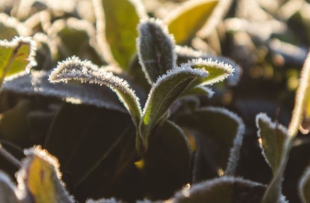 ��������� ��������: ����� ���� �������� ������� ������� ��� ������� � 2026 ����