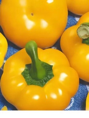 ����� � ������ ����� ��������: ����������� � ������� ������