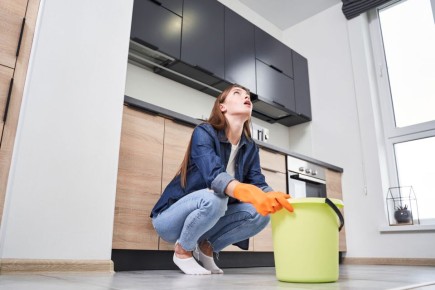 ��� �����������, ���� ������ �������� ���� ��������: ��������� �����������