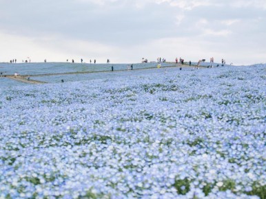 ����������� ���: ��� �������� �������� �� ����������� ������