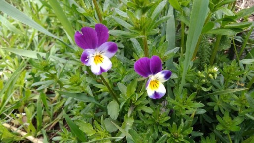 �������, ������� ������ ����: ������� ���������