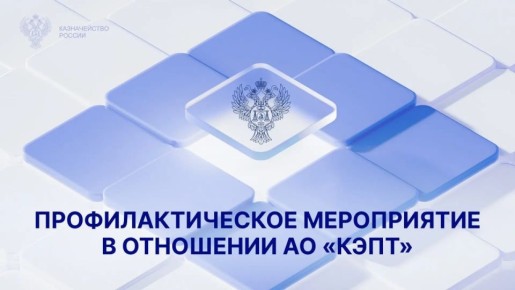 Во главе с руководителем Казначейства России Романом Артюхиным в рамках осуществления полномочий по внешнему контролю деятельности аудиторских организаций проведено профилактическое мероприятие в отношении АО «КЭПТ»