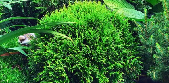 ������� �������� ��� �������� ����� � ����� ����