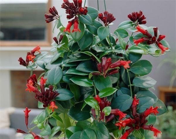 ����������: ��� �������� ������ �������� ������ �������