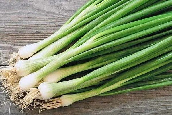 ��� ������-������: ������������� ������� ��� ������ �������