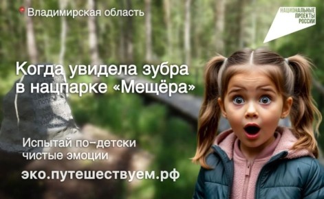 ������� ����������� � �������