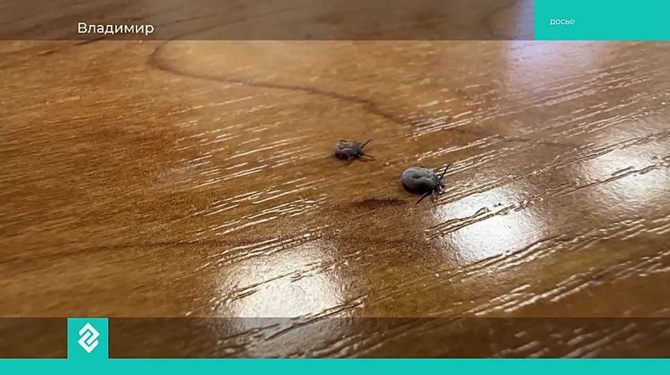 ������� ����� � ���� ������ �������� �� ������������ ������������ �������������