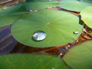 ��� ������������ �� ������� � ���������� �� ���������� ������