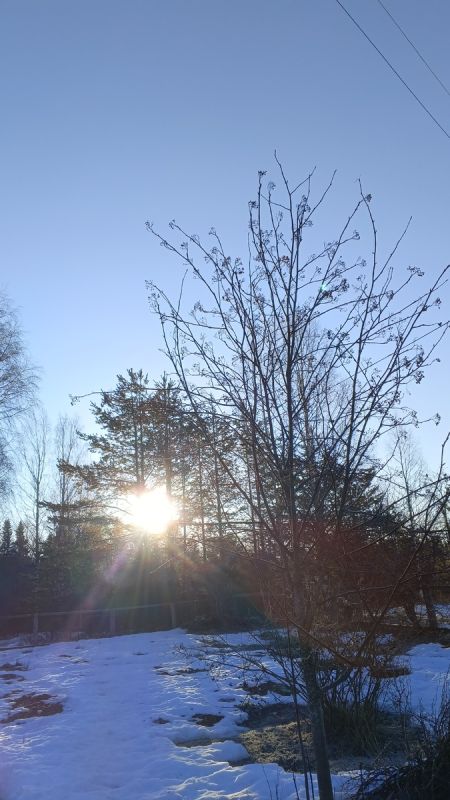 ������ ������ � ������ �������: ������������ � ���������