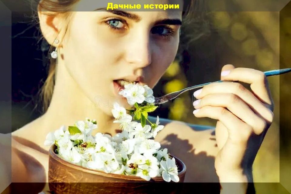 ��������� �����, ������� ������� ����� ����