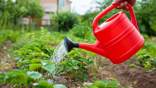 ��������� ������� ��������� �������� ��� ������������� ������