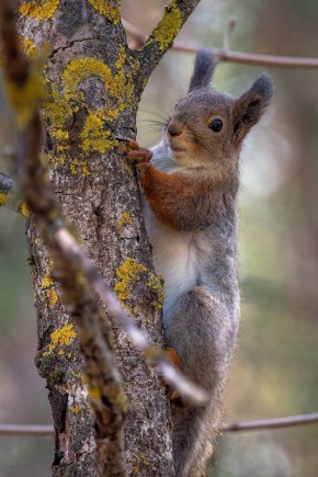 ������ ���������!. ������ ��� � ������? ����� ������� ���������� ����� �� ������� ��� ������������!