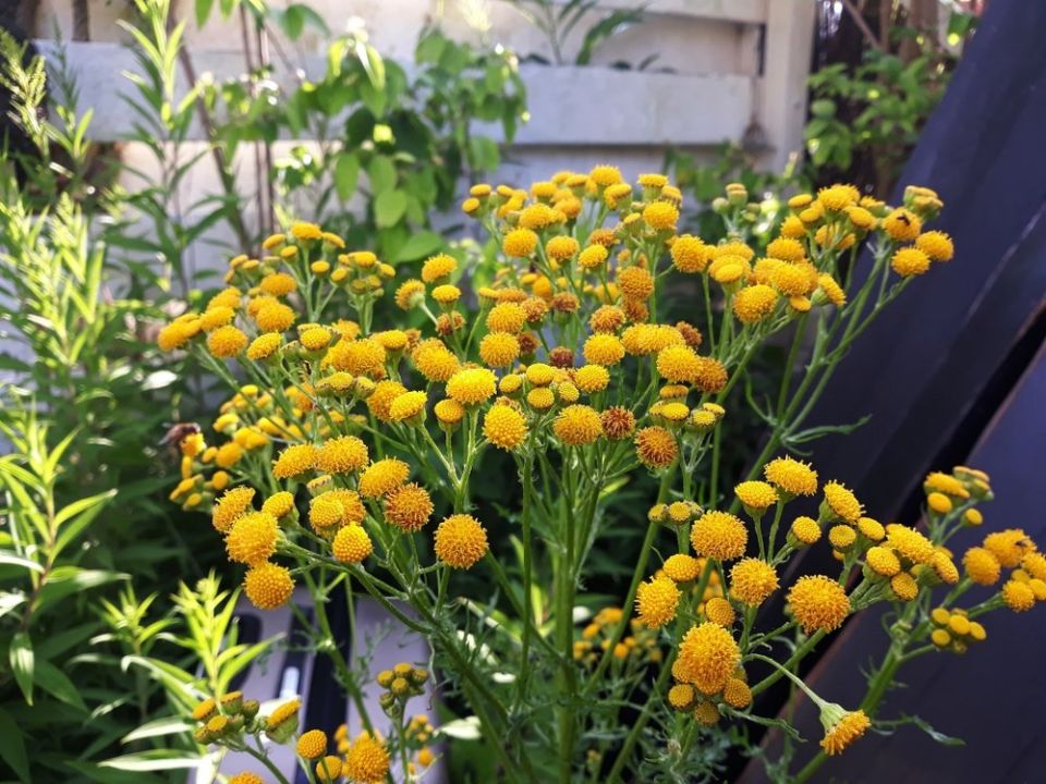 �� ������ ������: ��� ���������� ���������� � ����������� ��� ���������