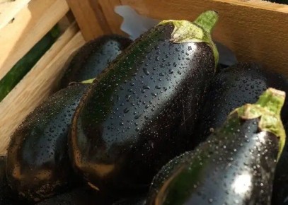 ��� ���������� � ���������� ����� ���������: ����������� ������ �����������