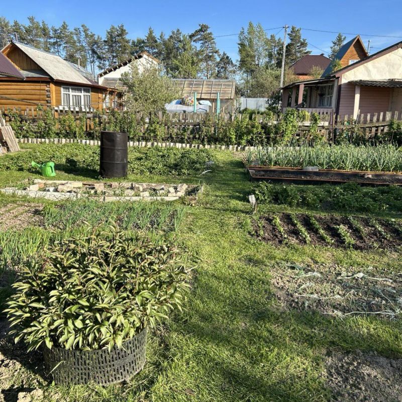 ������ ���� ���������� ���������� ����� ��������: ���� ������ ����������