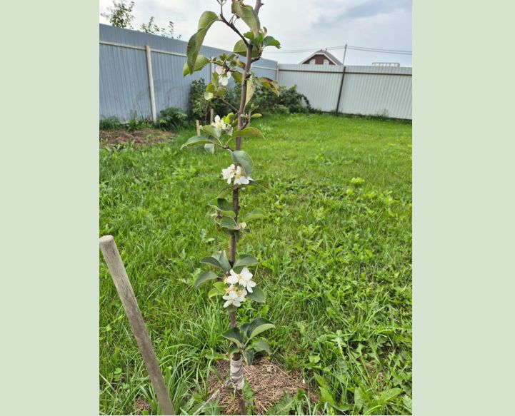 ��������� �������� �������� � ����������� �����