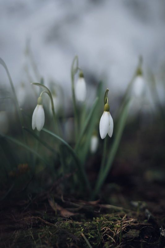 ������ ����!. ������� � ������: ������ ����� �������� � ���������, �������� ���� ����