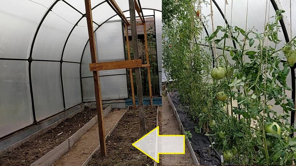 ��� ����������� ������� � ����: ������ �� ������� � �����������