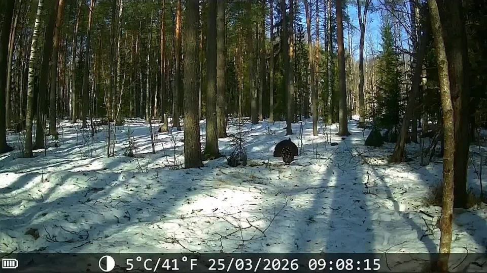 ��������, ��� ������� ������� � ������� ����������� � ����������� ������!