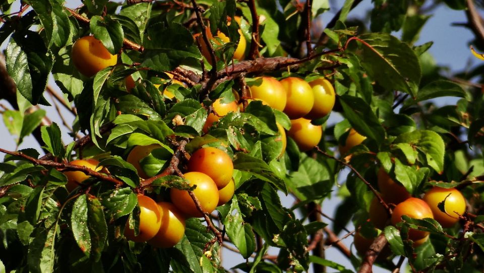 �����: ������� ������ �������� � ���������