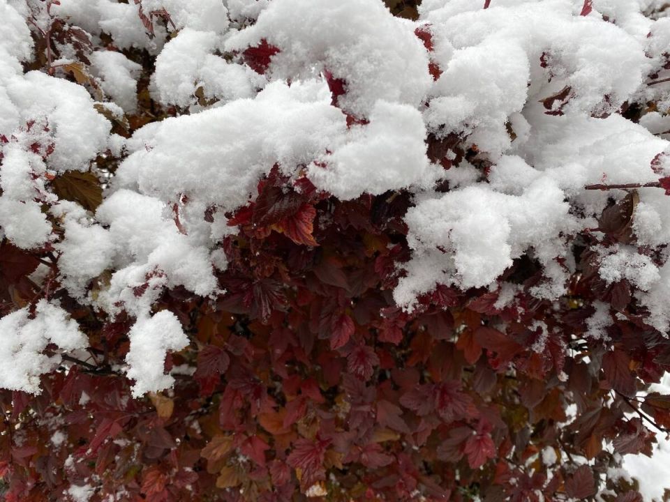 ������� ������� ����� �� ����������: ��� ���� �������� ������� ��������� ������� ��� �����